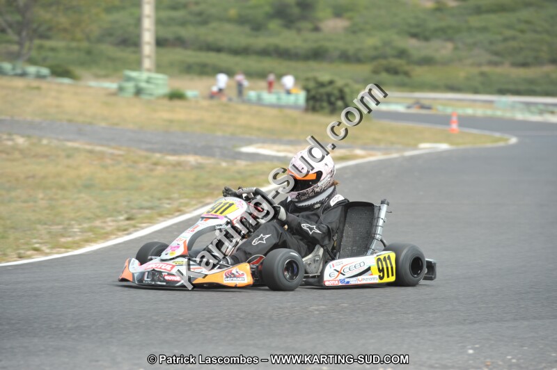 DSC (3547).JPG
